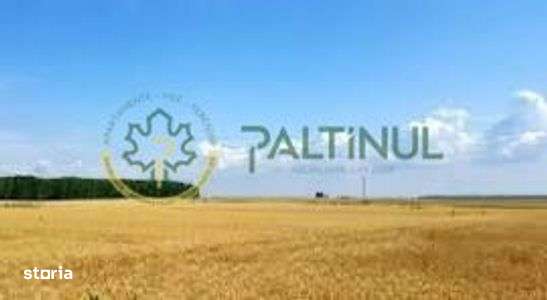 Teren de vânzare – Poplaca, Sibiu - Imagine principală: 4/11