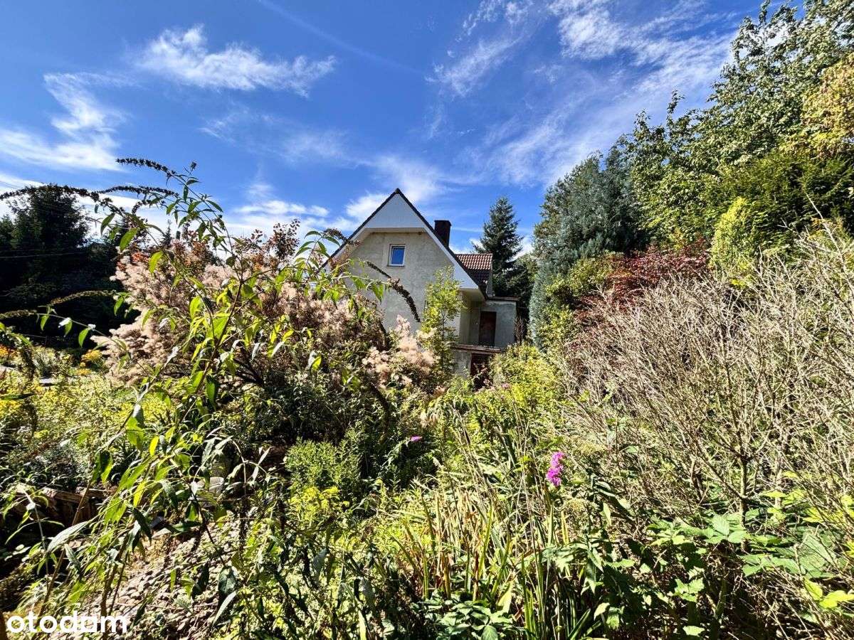 Dom wolnostojący w Winnej Górze - Pełny obrazek: 4/17