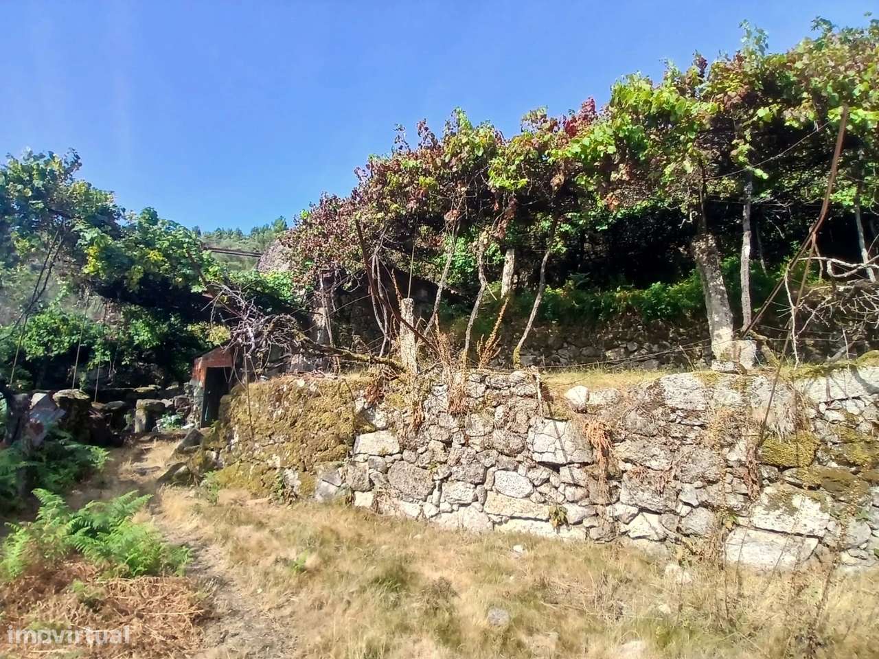 Terreno rústico com casa em pedra para recuperar – Soajo, Arcos de Val-32
