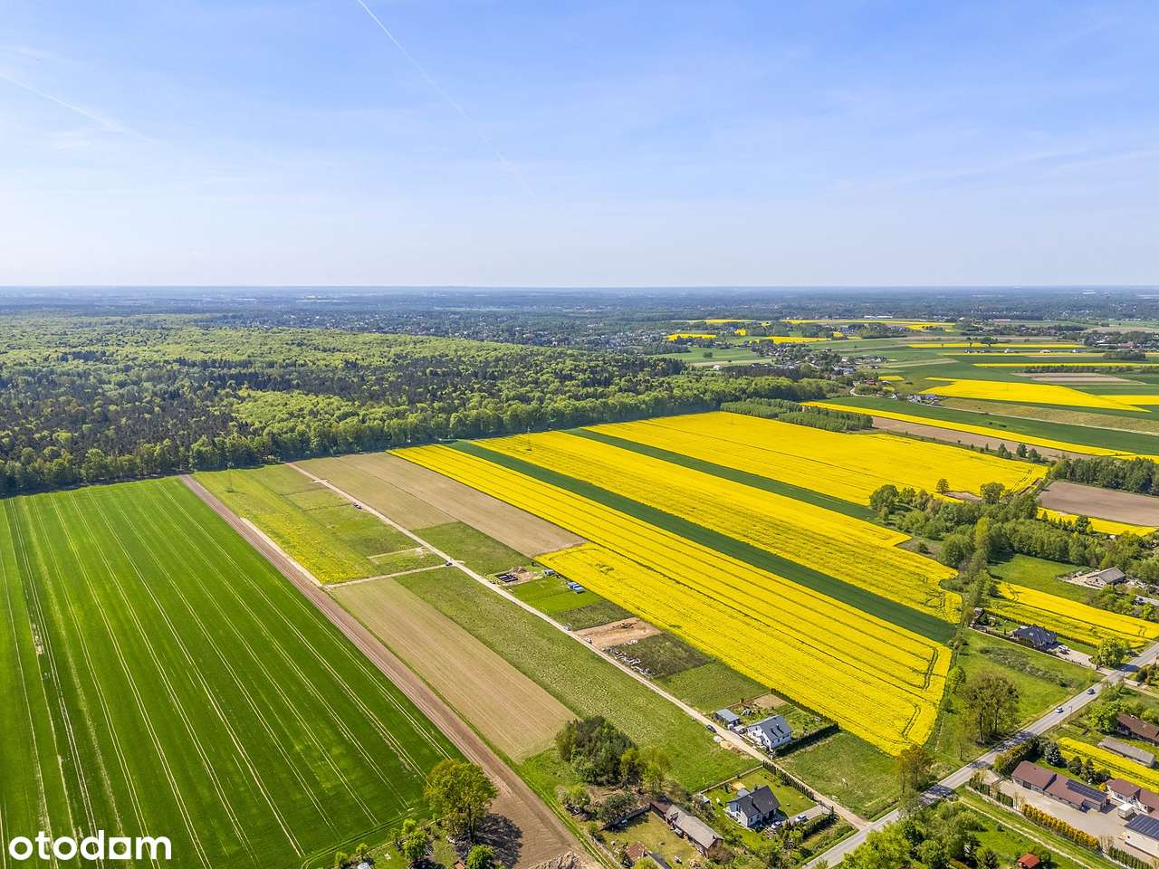 Działka budowlana, Widzew Nowosolna Andrespol Łódź 5 min - Pełny obrazek: 3/4