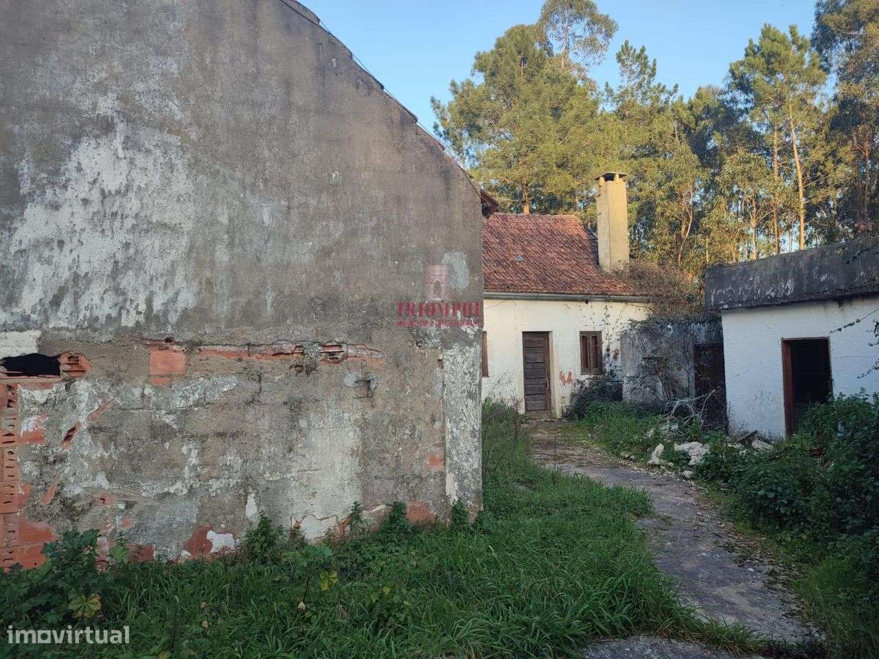 Moradia T3 Recuperar c/ Projeto São Mamede - Grande imagem: 3/14