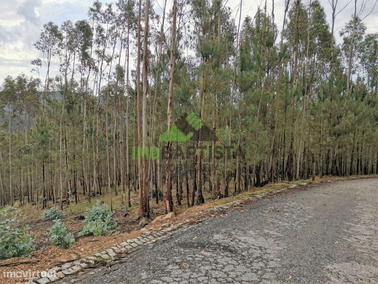 Terreno c/3600 m2 em Canedo - Grande imagem: 2/11
