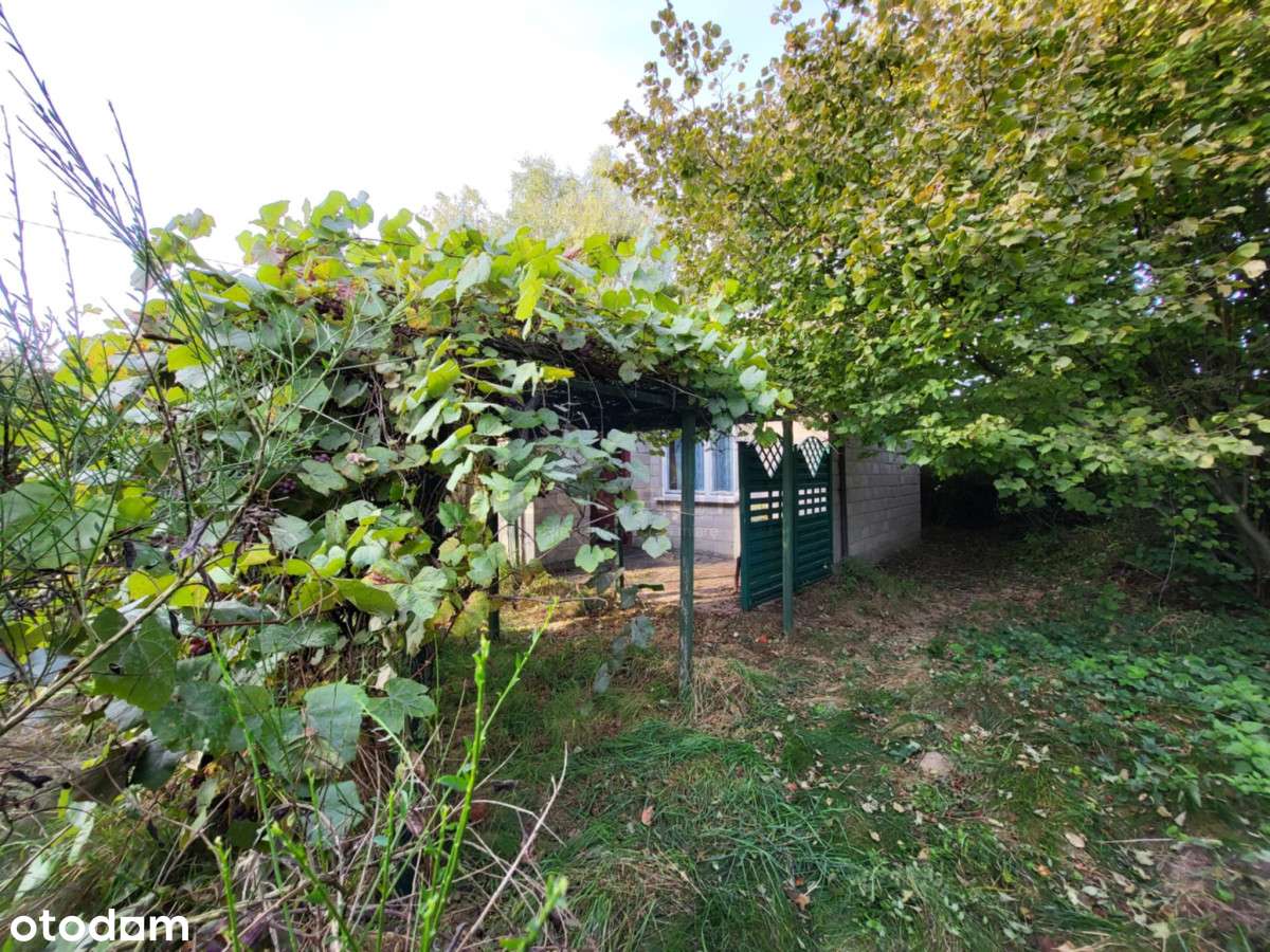 Działka z budynkiem w spokojnej okolicy - Pełny obrazek: 5/8