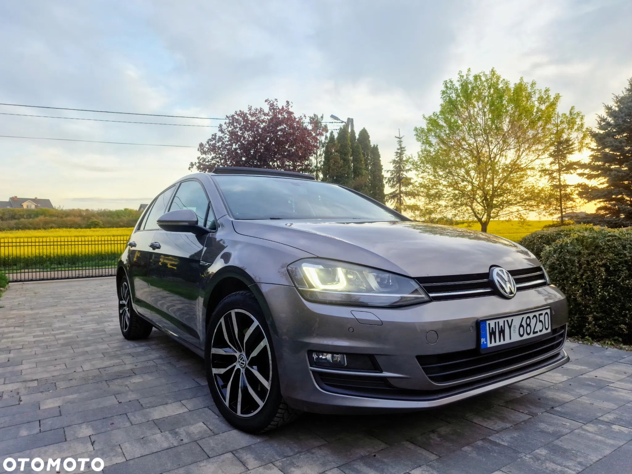 Volkswagen Golf 1.6 TDI BlueMotion Technology Cup - 1