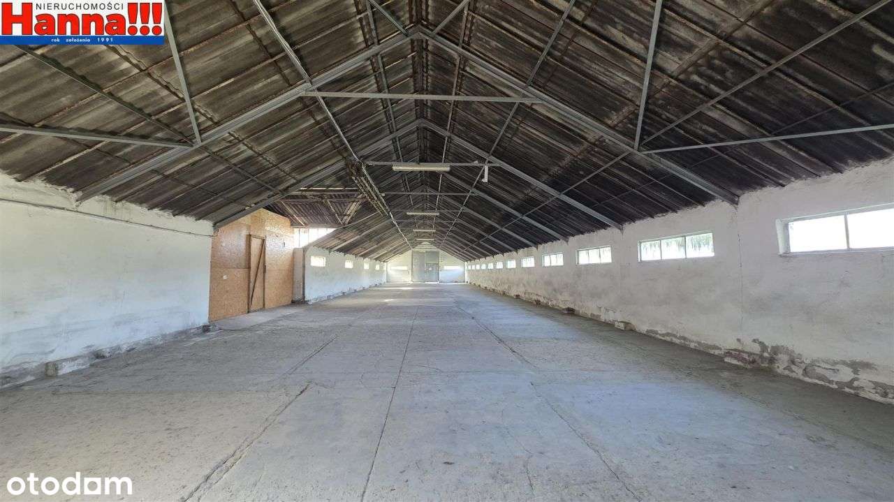Pruszcz Gdański/Juszkowo - magazyn od 250 do 380m2 - Pełny obrazek: 4/6