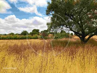 Terreno rústico a 15km de Évora