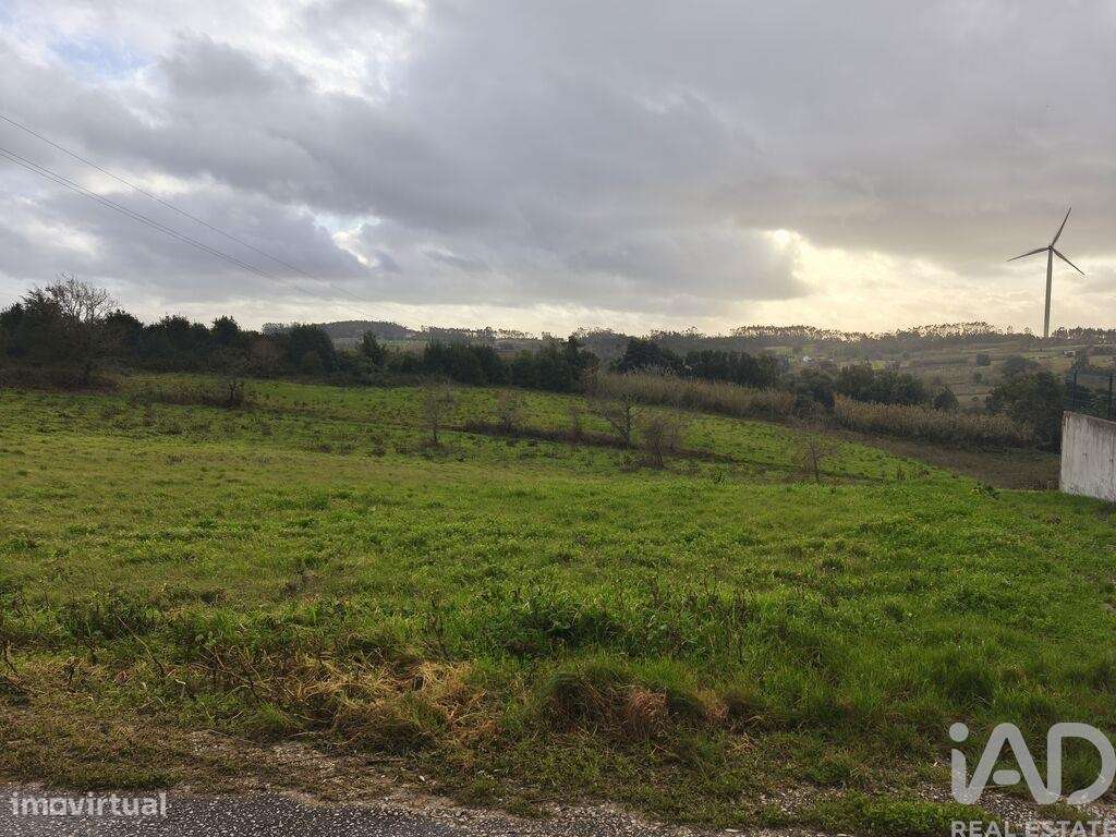 Terreno Agrícola em Cela - Grande imagem: 3/9