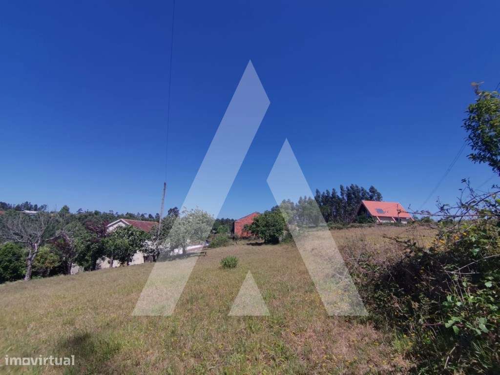 Terreno Urbano para Construção de Moradia nas Frias - Albergaria-a-... - Grande imagem: 2/11
