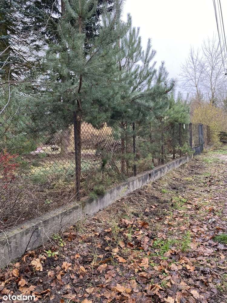 Dom wolnostojący z działką Międzylesie Kaczy Dół - Pełny obrazek: 4/5