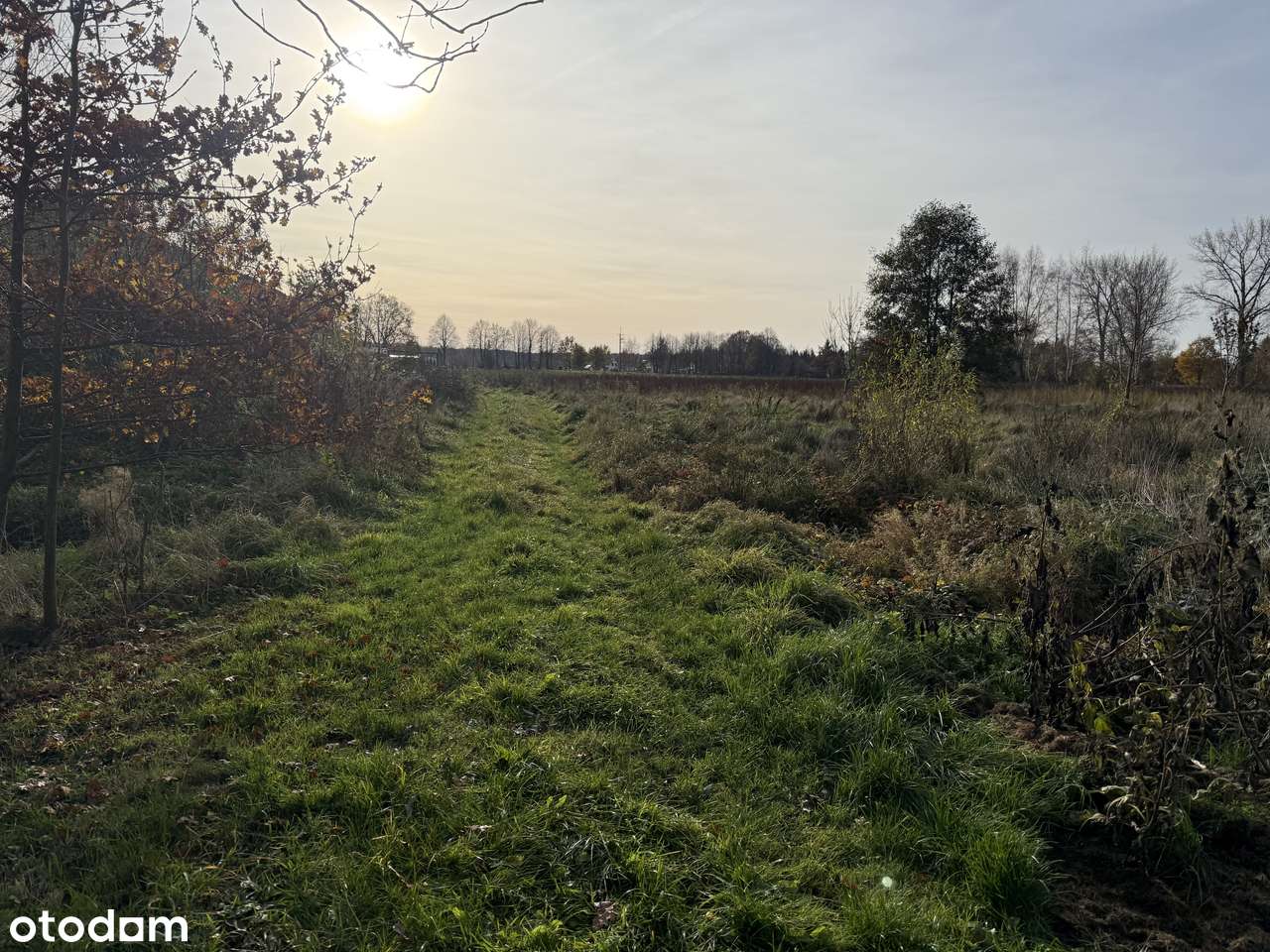 Działka 3000 m² Międzywodzie/Sierosław-6,9 km od plaży w Międzywodziu - Pełny obrazek: 4/13