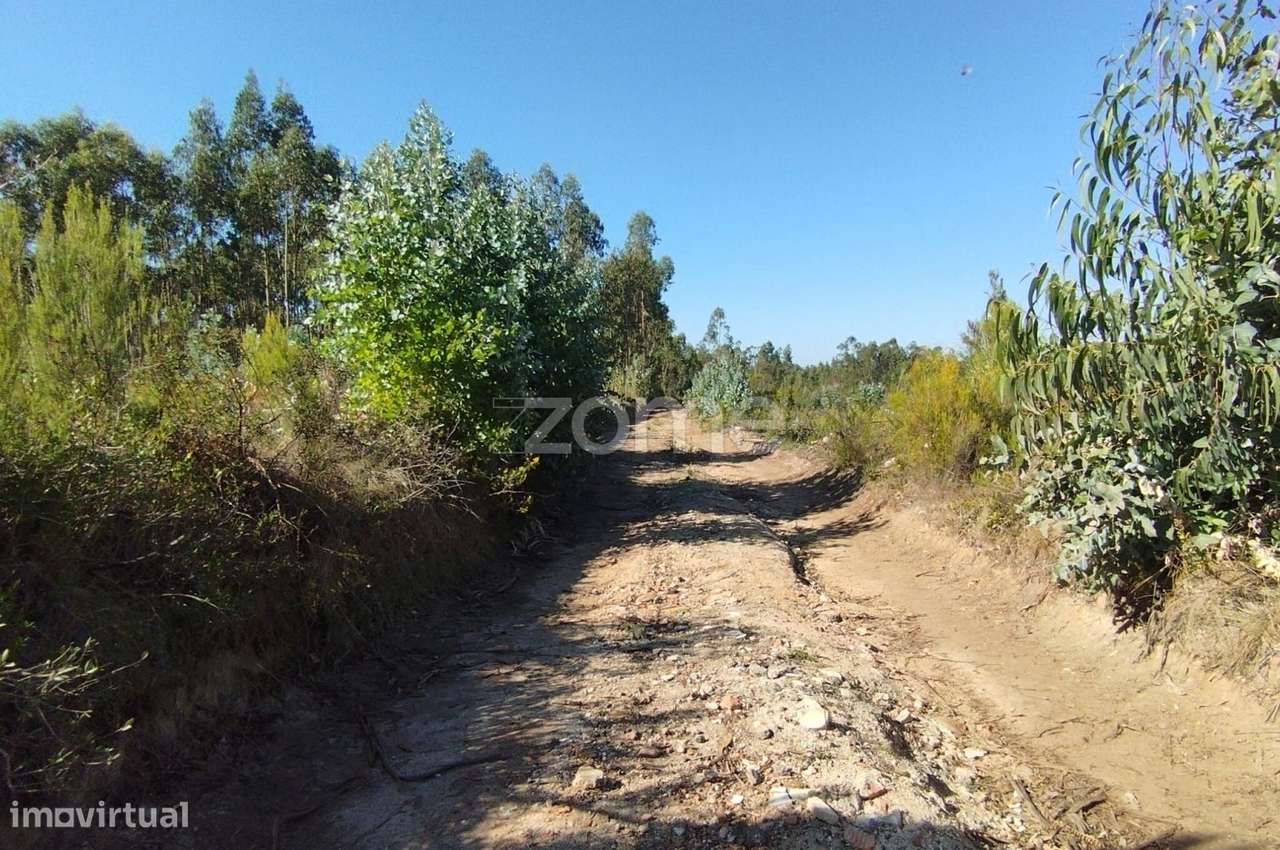 Terreno Industrial Barosa - Grande imagem: 5/20