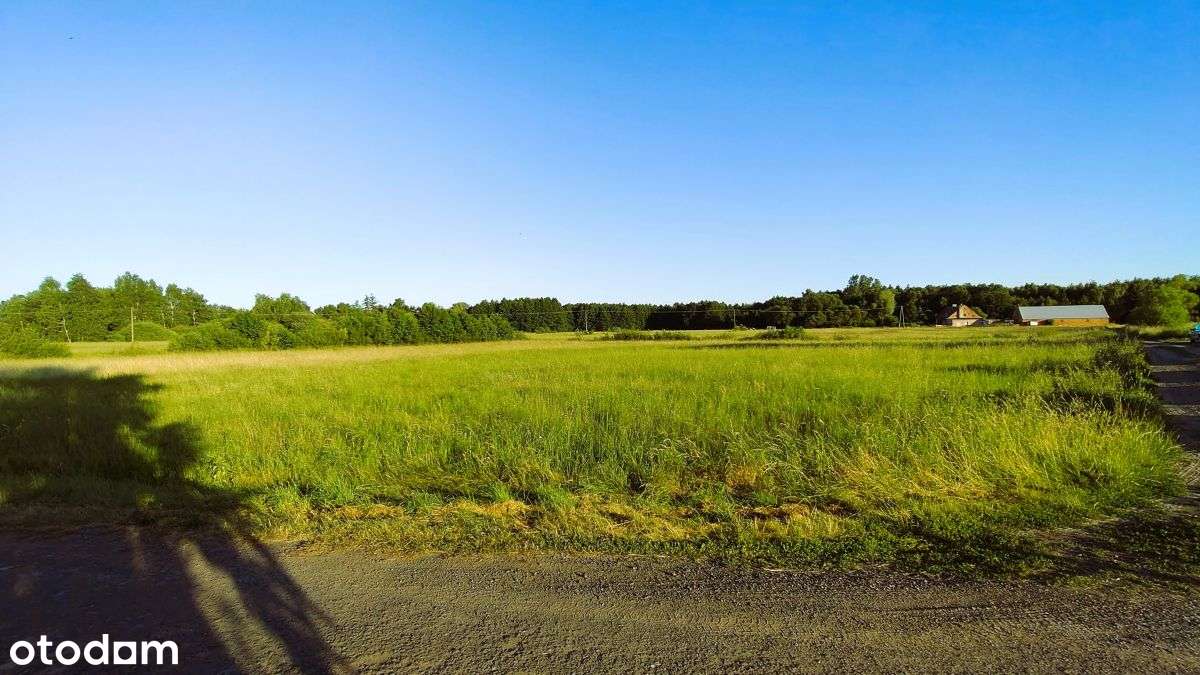 Działka inwest w gm Nekla – 30 km od Poznania-0