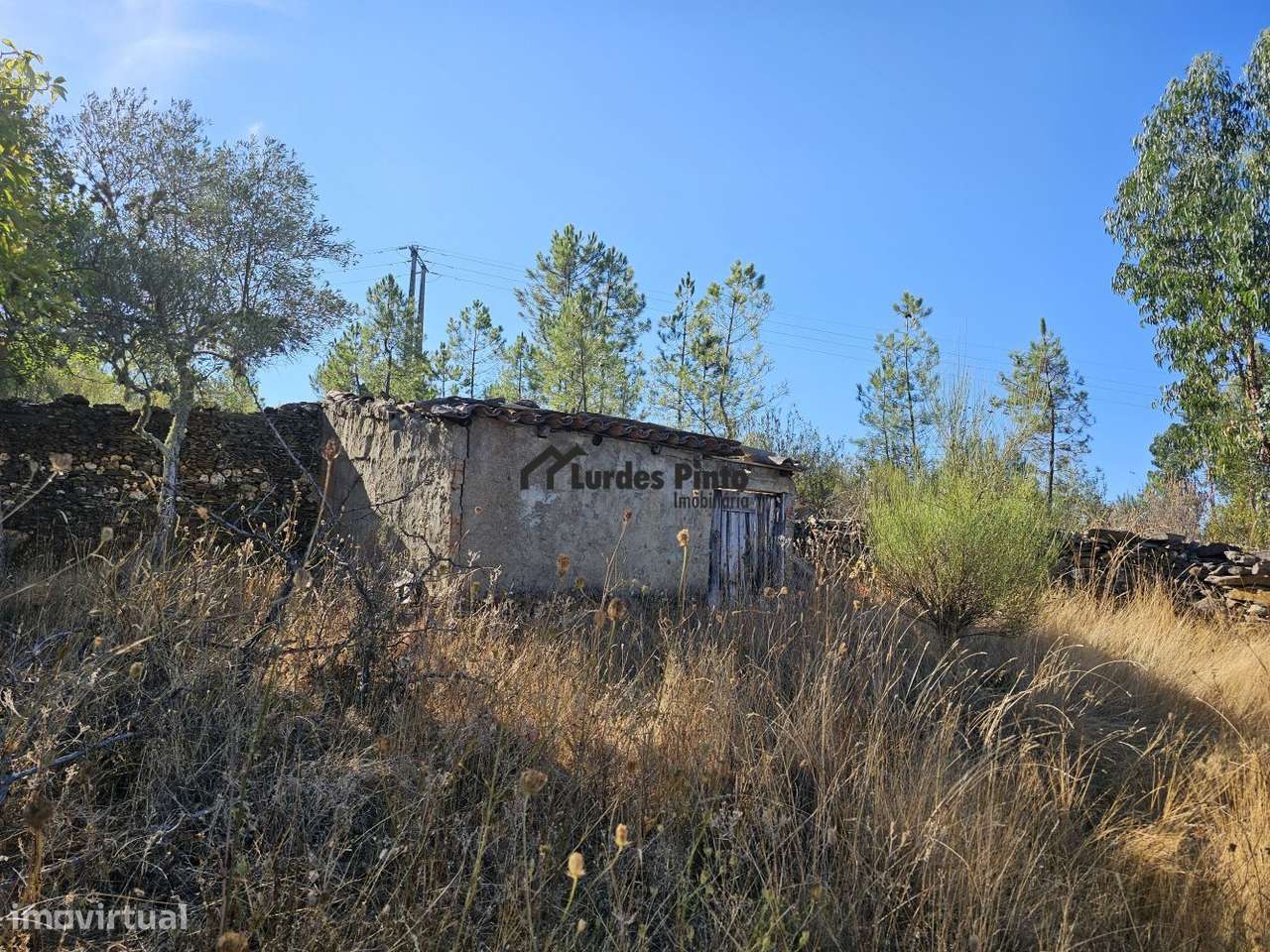 Quintinha com poço em Benquerenças - Grande imagem: 4/17