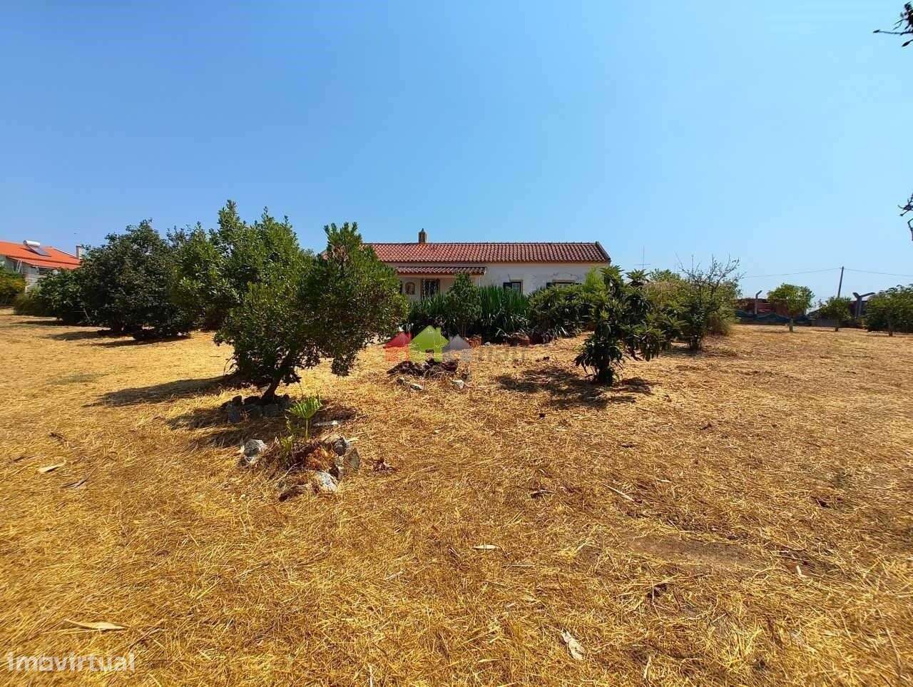 Quinta C/Moradia T2 - Foros de Vale de Figueira-38