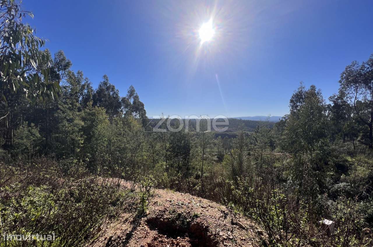 Terreno com 7550m2 em Antanhol - Grande imagem: 5/16