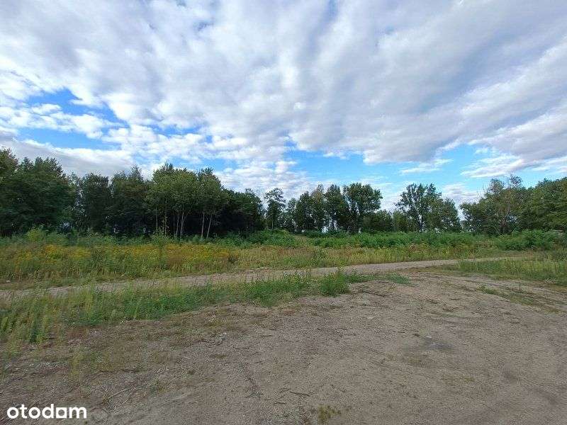 Dk94, A1 - teren inwestycyjny - produkcja/usługi - Pełny obrazek: 5/9