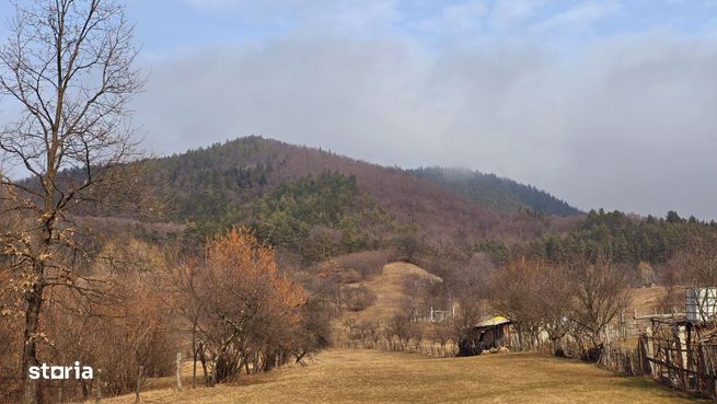 Teren 7 km de Piatra-Neamt pretabil pensiuni/ vile!!-1