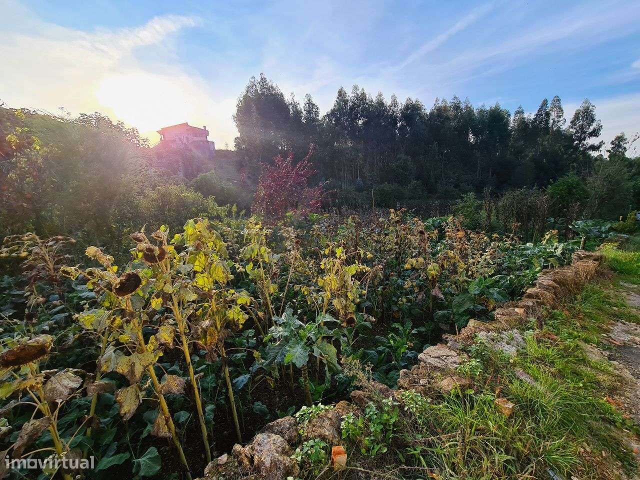 Terreno com Viabilidade de Construção de Moradias-9