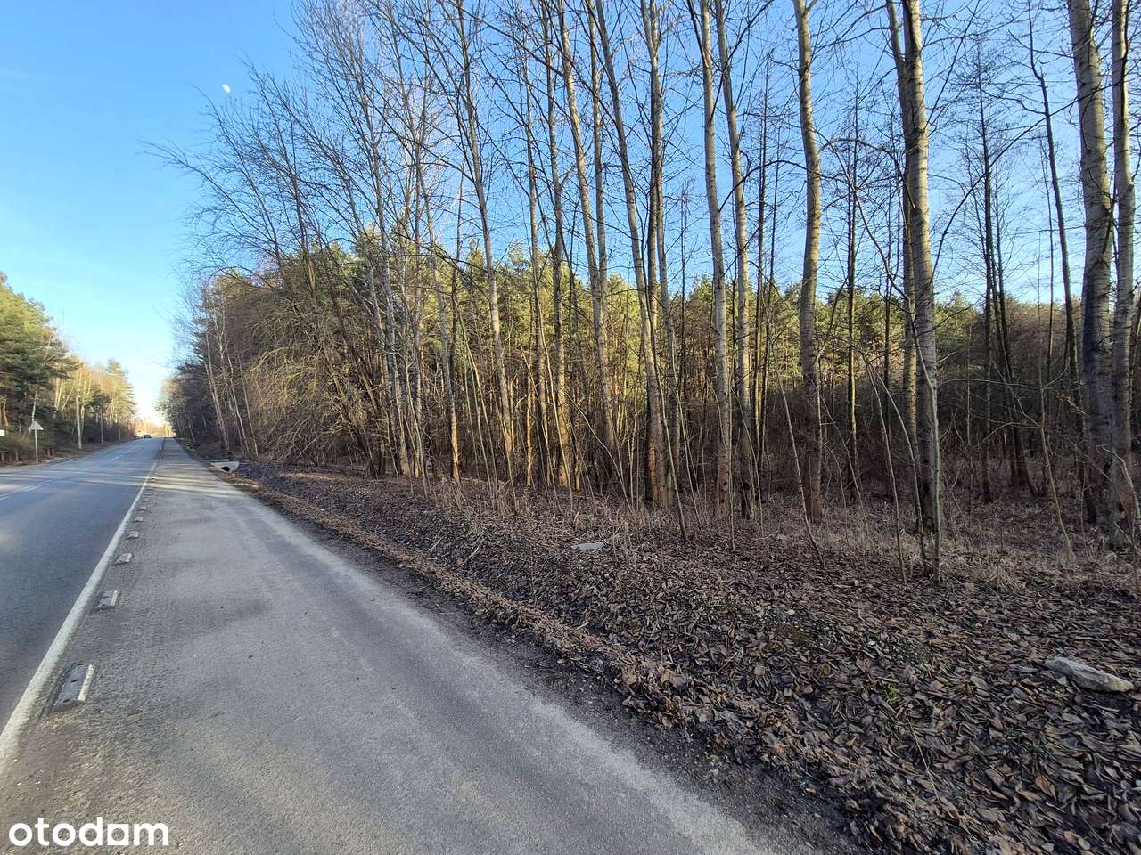 Sprzedam działkę pod HALĘ, MAGAZYN (warunki zabudowy)-0