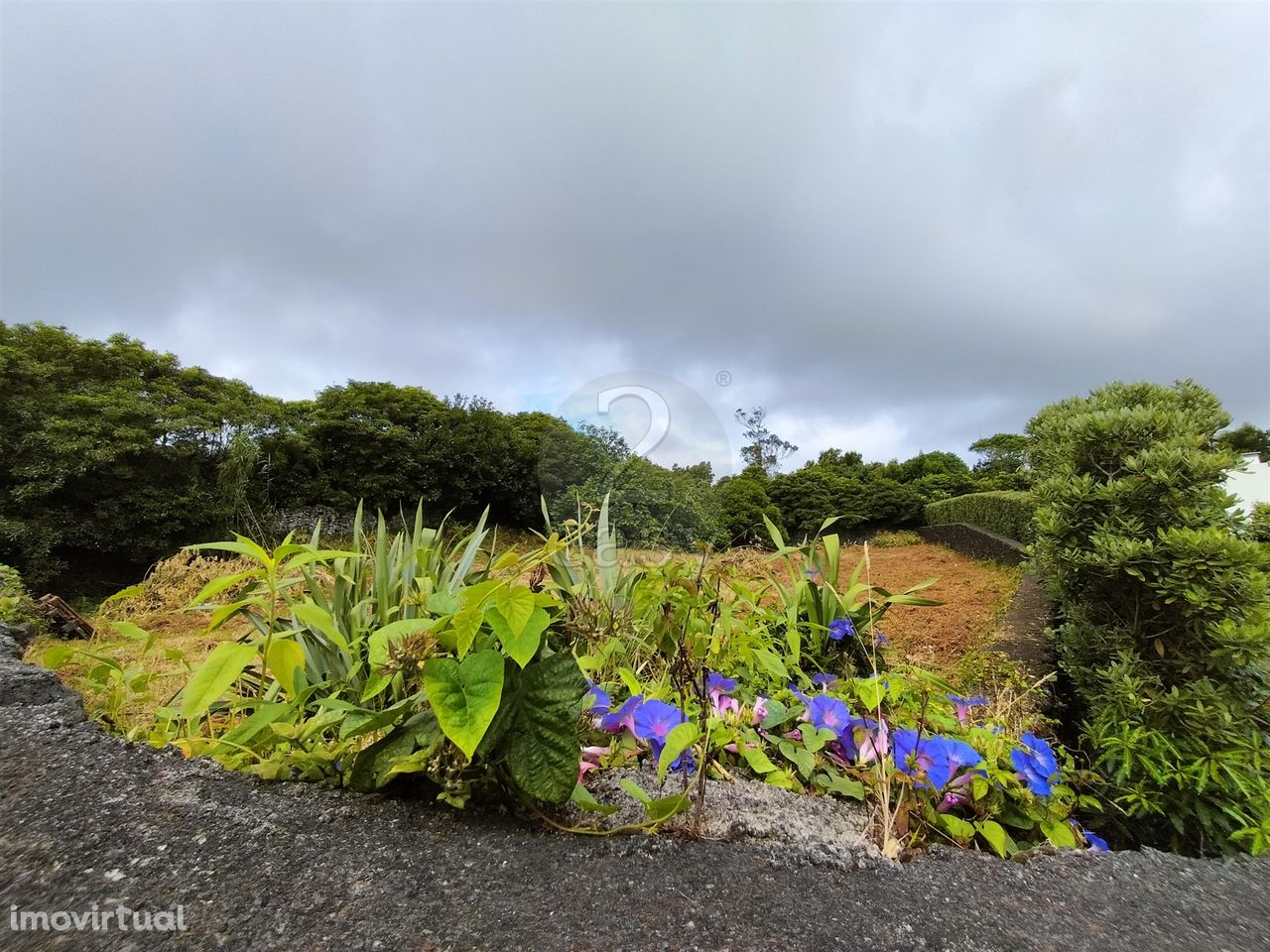 Terreno no Pico da Pedra