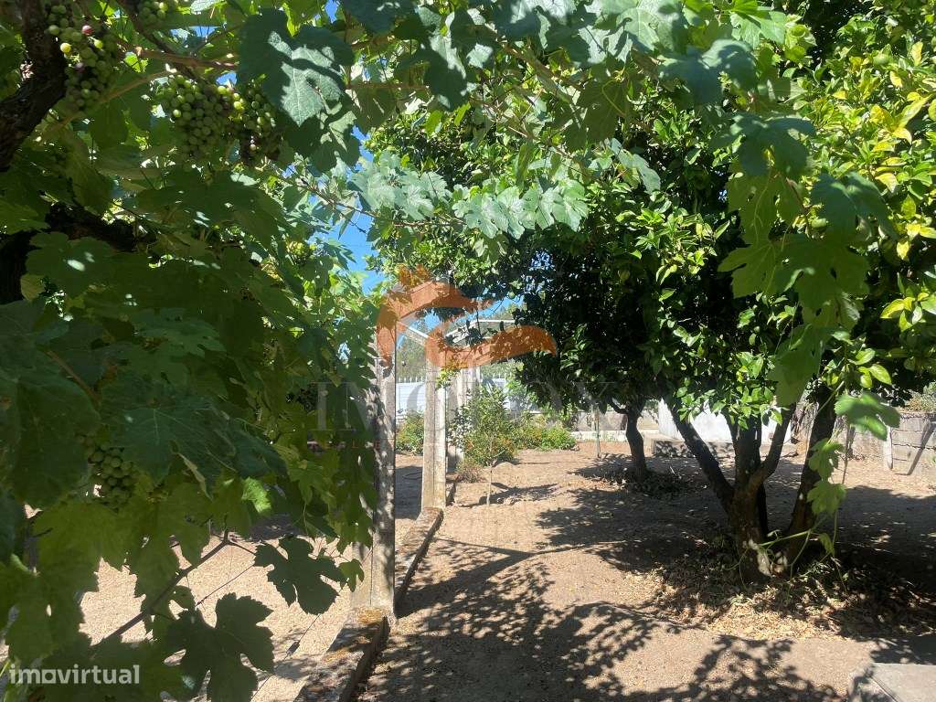 Moradia com jardim e garagem em Santa Ovaia, Oliveira do Hospital-19