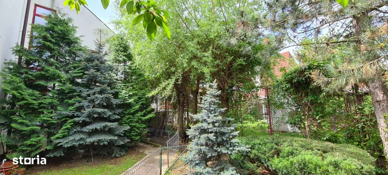 VILA SAFTICA individuala-15