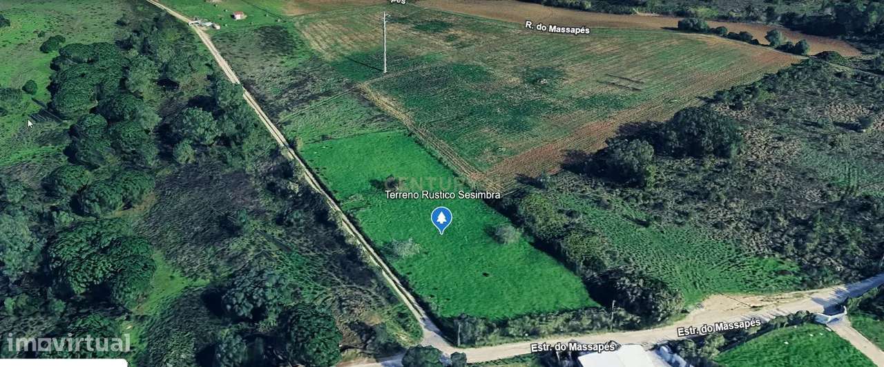 TERRENO RÚSTICO PARA PROJETO AGRÍCOLA / NATUREZA - Grande imagem: 5/16