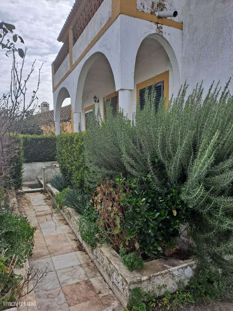 Vende-se moradia em Porto Espada, GRANDE OPORTUNIDADE COM BAIXA PREÇO - Grande imagem: 2/25