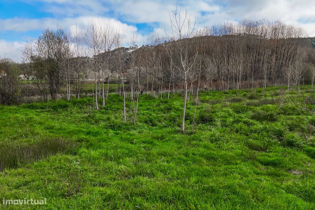 Terreno Rústico  Venda em Associação de freguesias do Vale do Neiva,Po-17