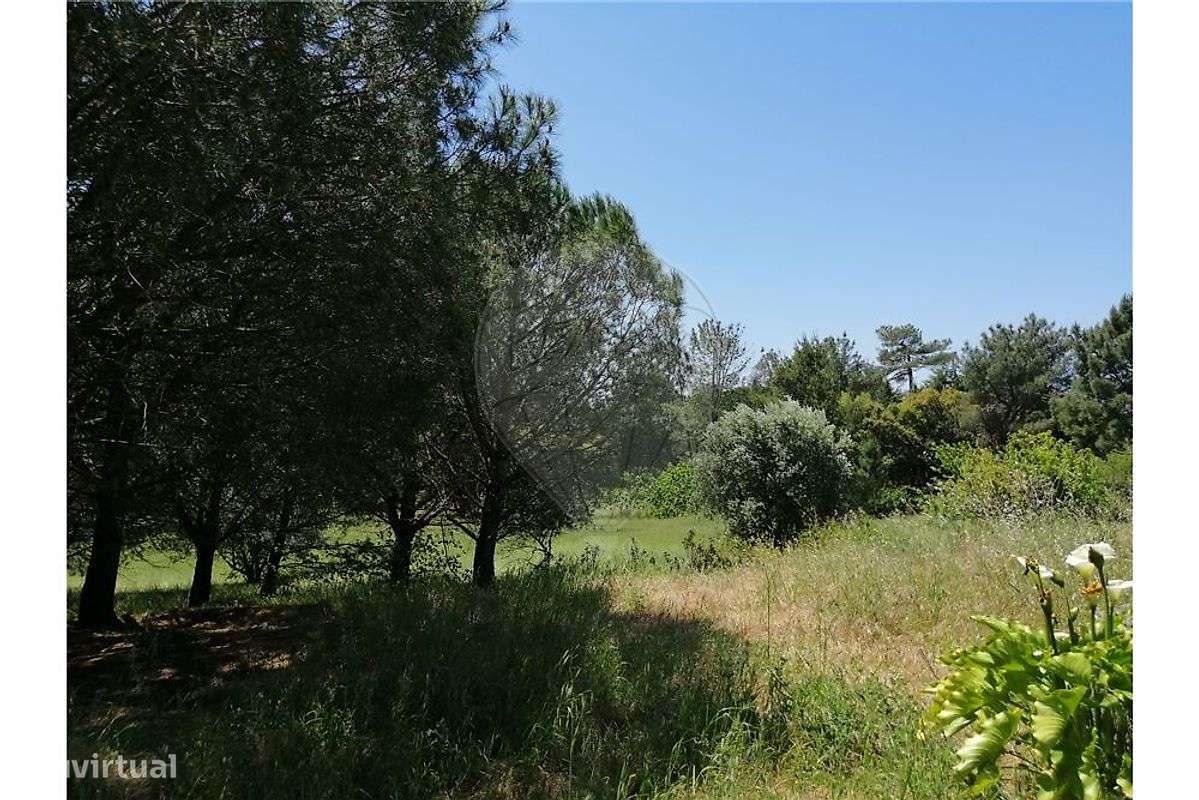 Terreno  para venda-11