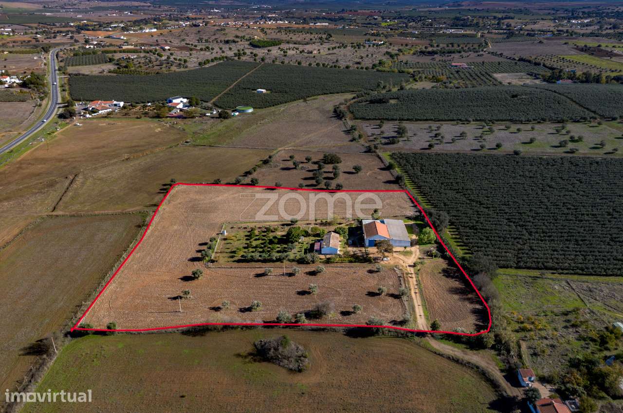 Monte do Ribeiro dos Frades com 2,5Ha - às portas da cidade - Grande imagem: 3/36