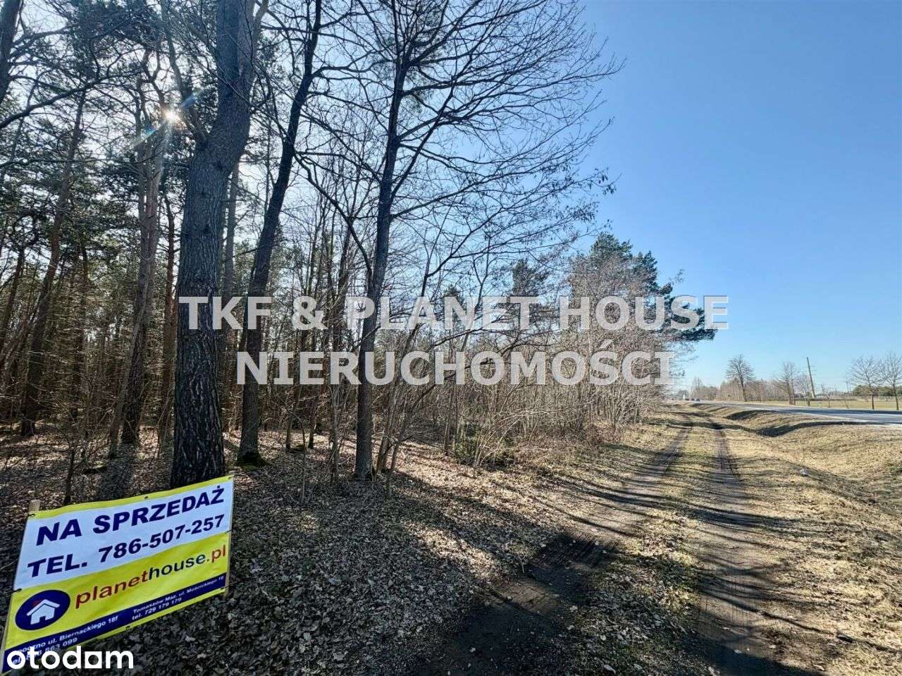 Działka leśna 1.12ha Owadów, Sławno-1