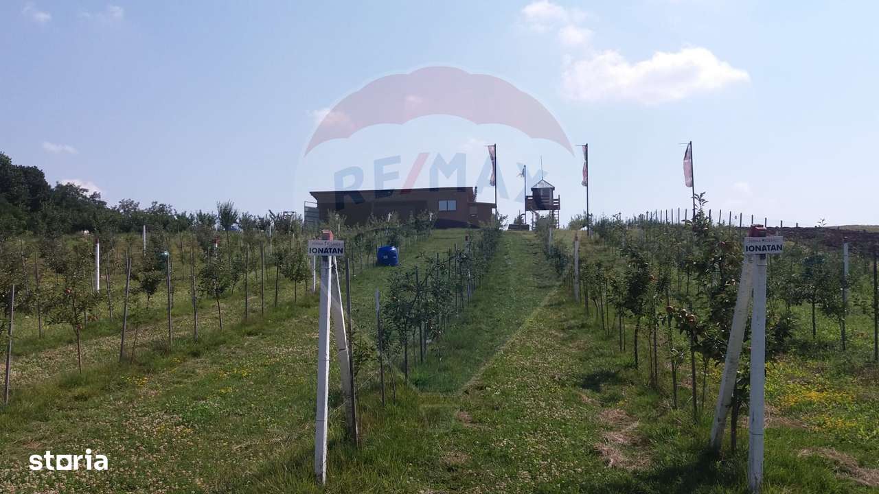 Vanzare teren Livada - Ferma Arges - Izbasesti / DN 142 langa Pitesti - Imagine principală: 2/13