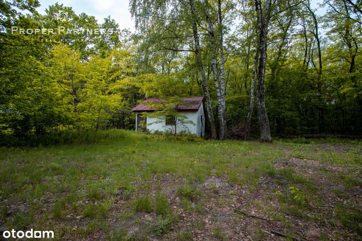 Dom z dużym potencjałem na działce 1500m2 Ursynów - Pełny obrazek: 4/20