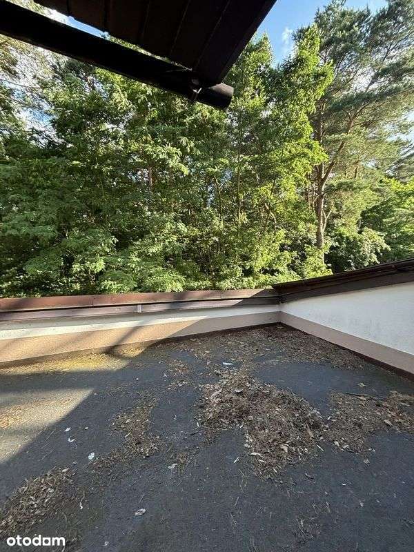 Dom w lesie nad jeziorem - Pełny obrazek: 5/19