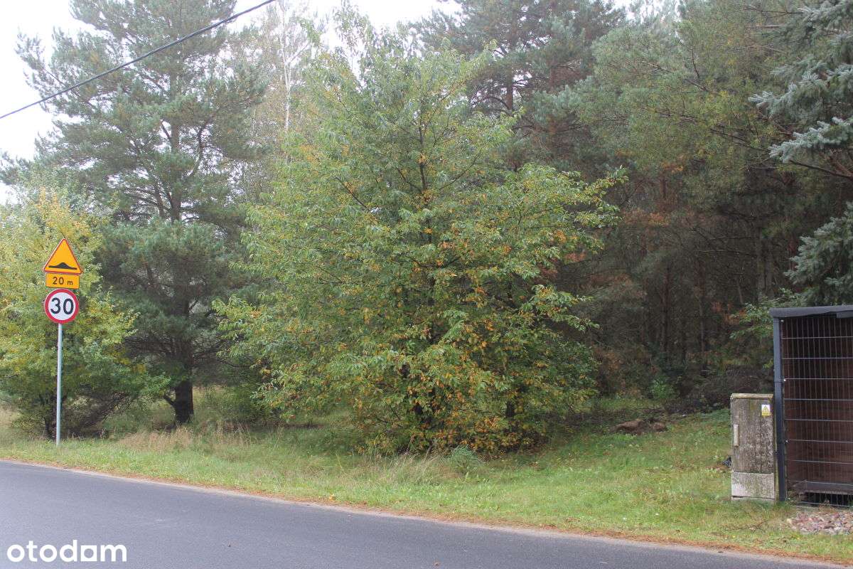 Pięknie położona działka przy Trakcie Pobiedziskim, Nekielka-9