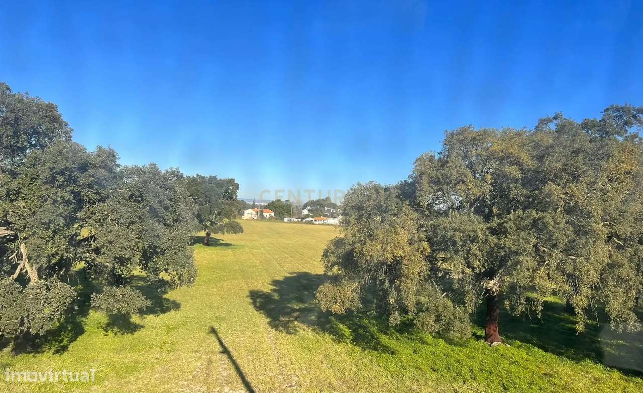 Terreno Rústico em Castelo Branco - Grande imagem: 3/4