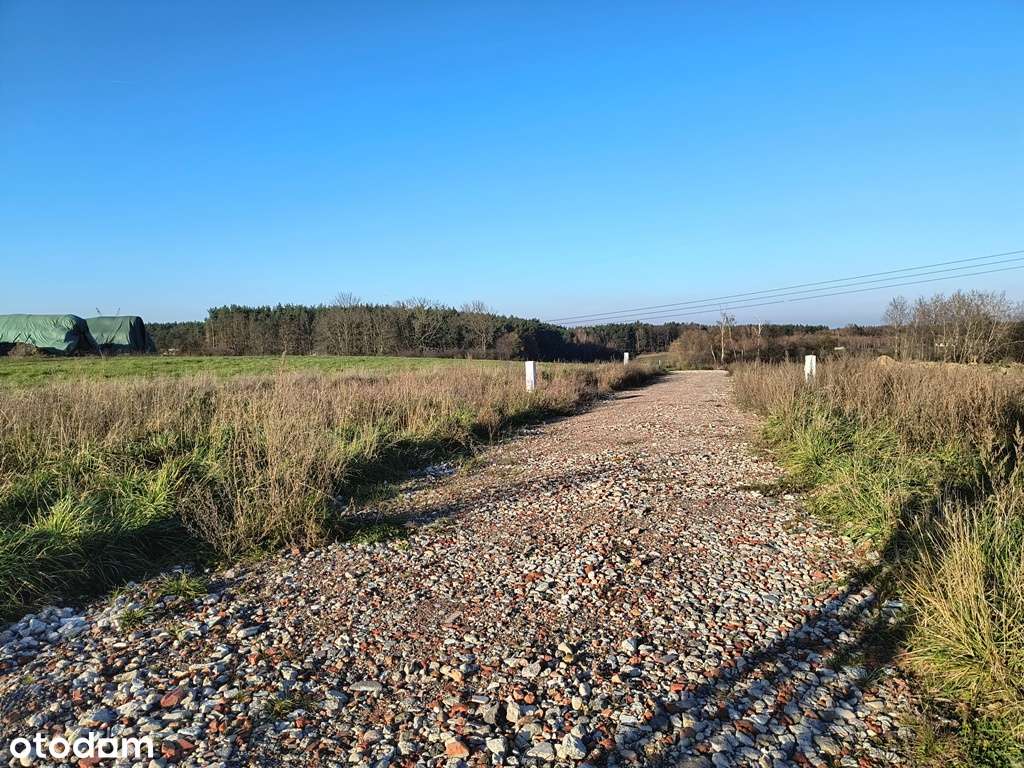 Działka budowlana Poznań Morasko ul. Łysy Młyn - Pełny obrazek: 4/9