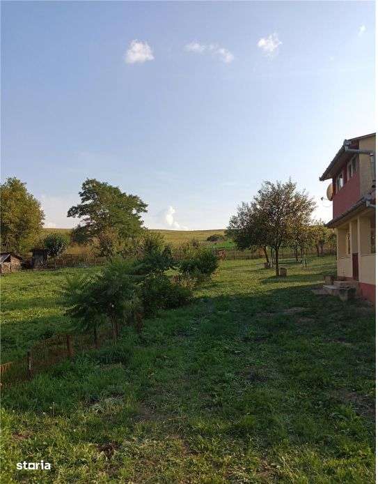 Teren 11.600 mp intravilan, cu casa si utilitati pe proprietate – Ca - Imagine principală: 2/3