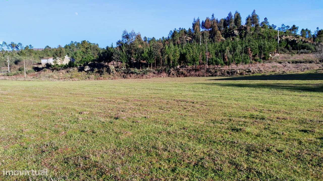 O Refúgio Perfeito entre o Rio e a Natureza: Quinta com 2 Hectares - Grande imagem: 4/8