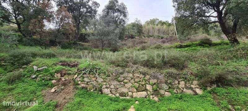 Quinta / Baião, Rio Douro - Grande imagem: 4/20