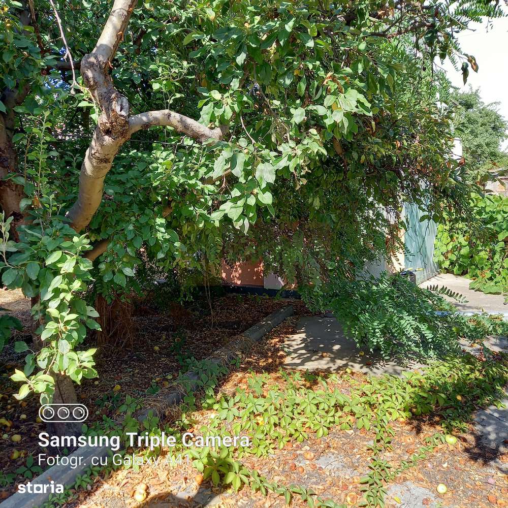 Vanzare teren Fundeni, sector 2 - Imagine principală: 4/10