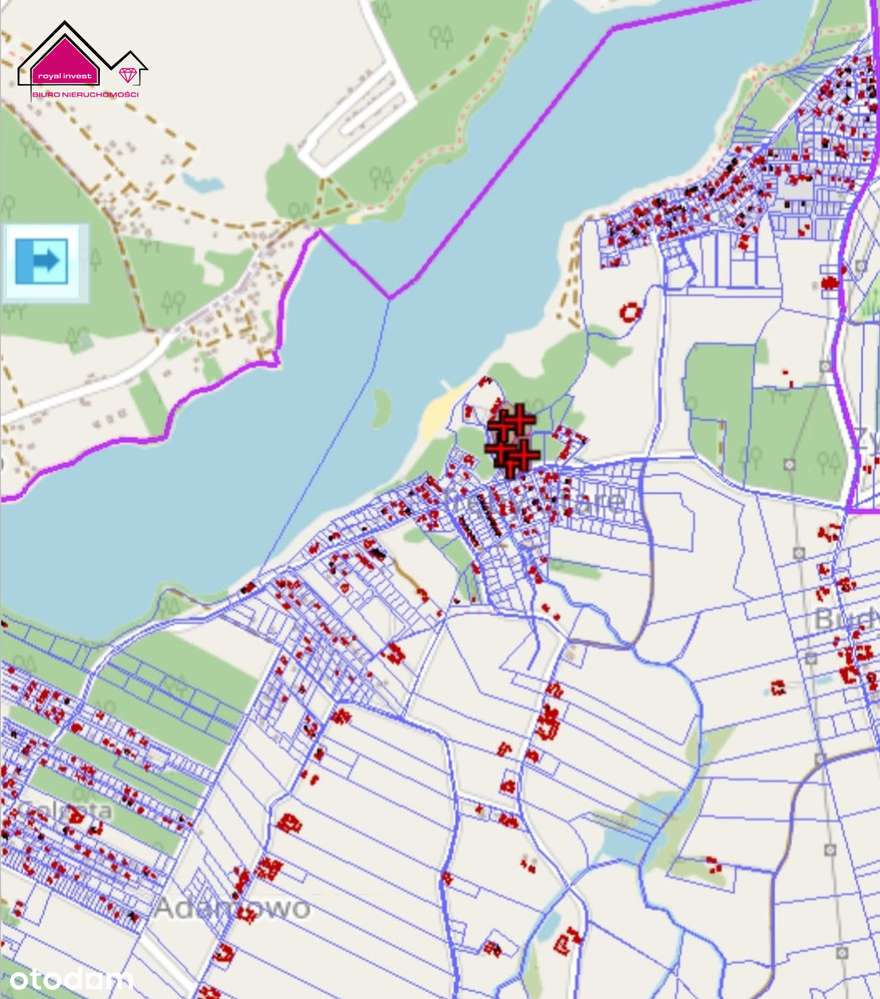 Na sprzedaż działka leśna blisko j.Budzisławskiego - Pełny obrazek: 2/3