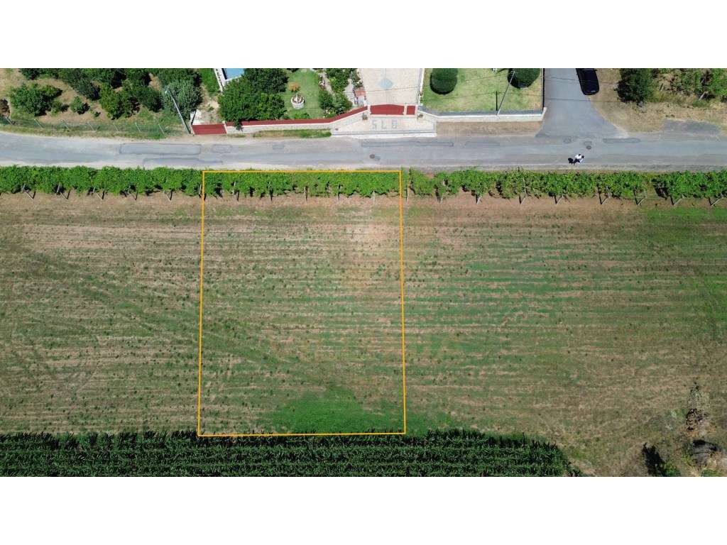 Terreno com 600 m² em Arcozelo - Ponte de Lima - Grande imagem: 2/9