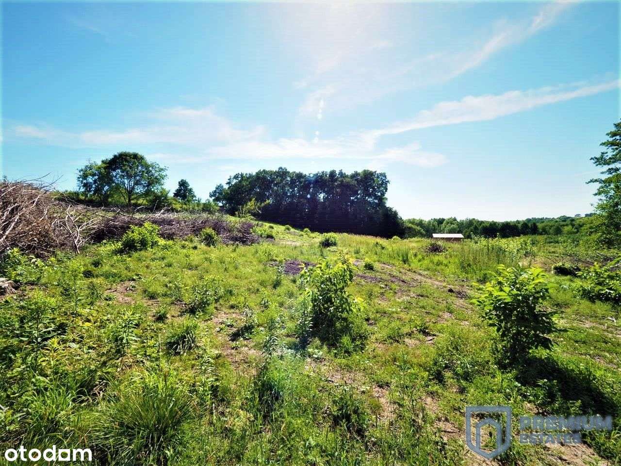 Działka inwestycyjna | 3 Projekty chłonności Pum-6