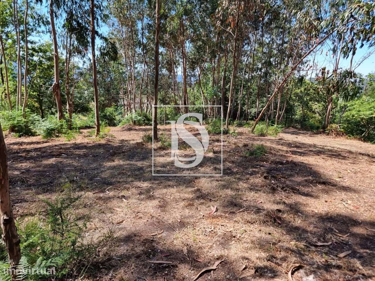 Terreno com Capacidade de Construção-11