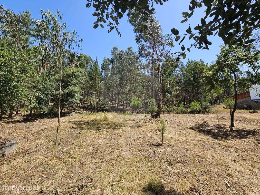 Terreno  para venda - Grande imagem: 5/12