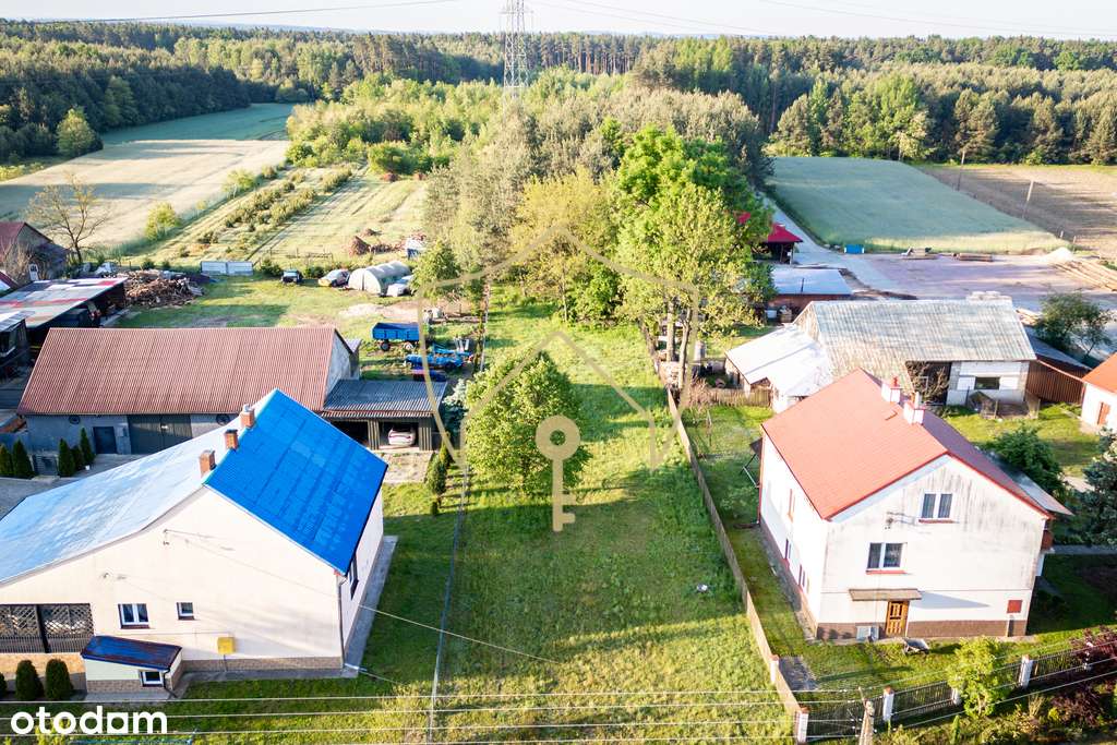 Działka z WZ i własnym lasem - Pełny obrazek: 5/7