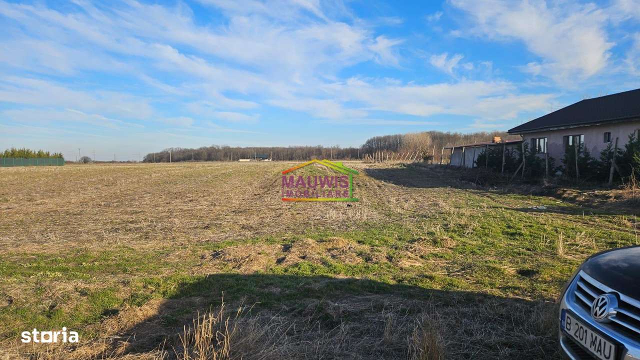 Vanzari Terenuri ILFOV - SUD VARTEJU-1