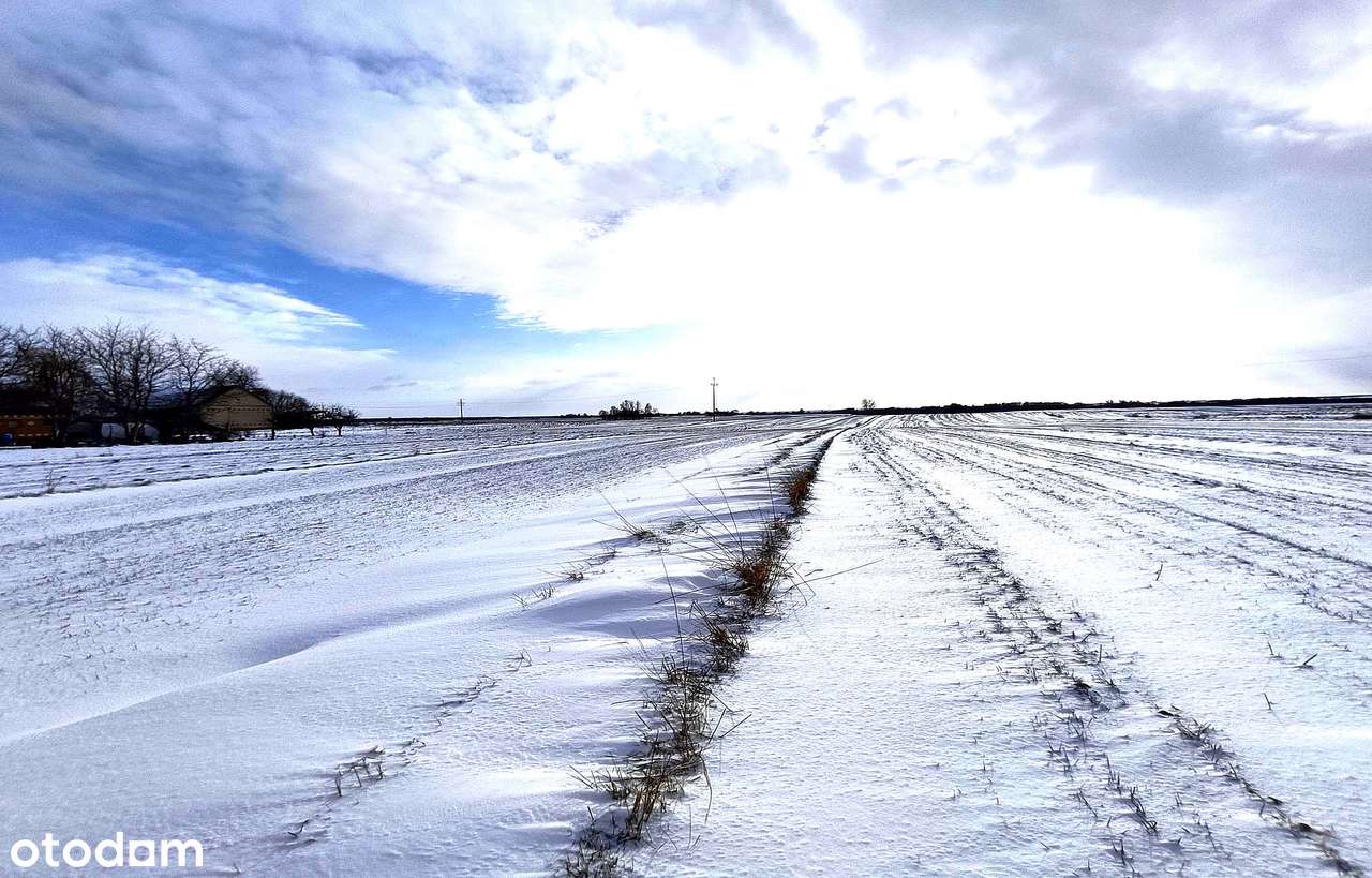 Siedlisko 60 m2, działka 3644 m2; Kitów-14